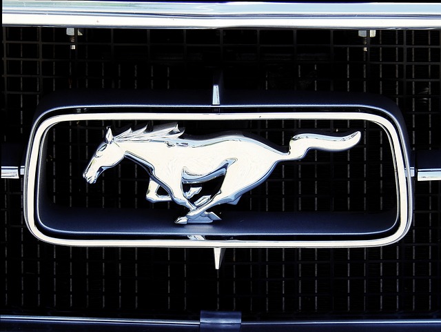 starý Mustang