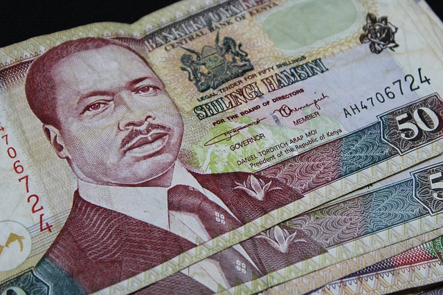 keňské bankovky – detail, portrét muže